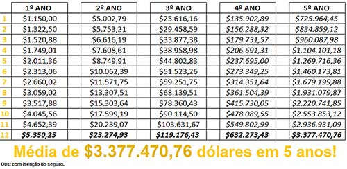 Simulação de investir 1000 dólares na fraude DFRF