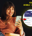 Como funciona P2P Nibble Finance